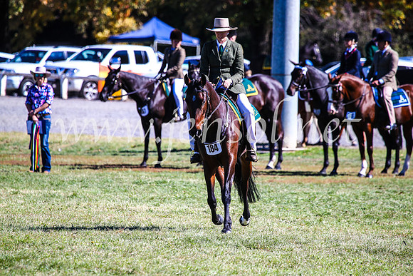 BathurstShow2017Fri_0983
