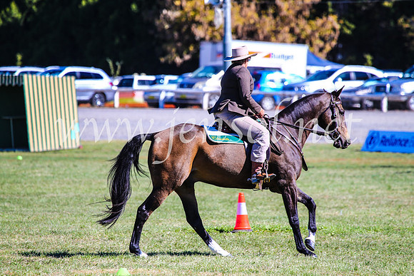 BathurstShow2017Fri_0828