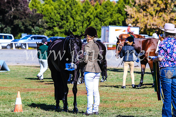 BathurstShow2017Fri_0370