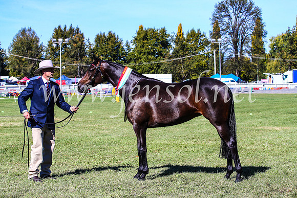 BathurstShow2017Fri_0348