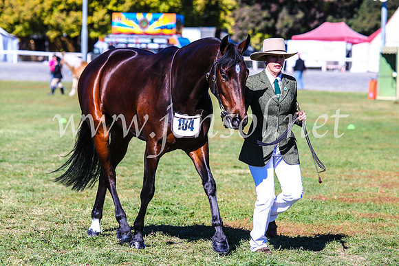 BathurstShow2017Fri_0232