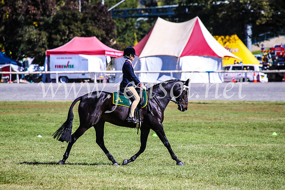 BathurstShow2017Fri_0901