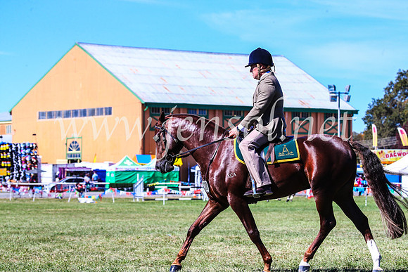 BathurstShow2017Fri_0503