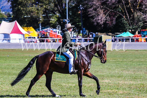 BathurstShow2017Fri_1019
