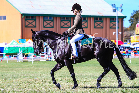 BathurstShow2017Fri_0542