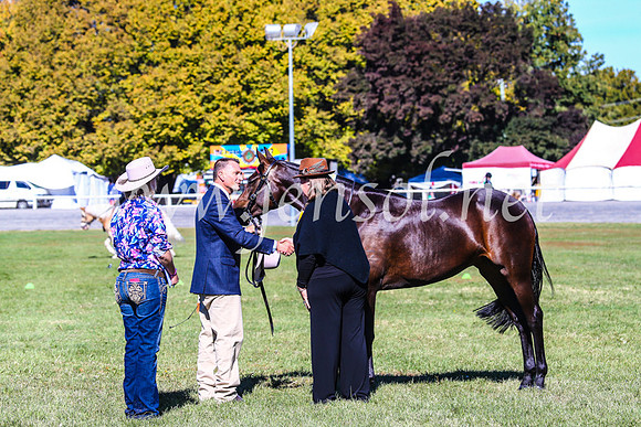 BathurstShow2017Fri_0327