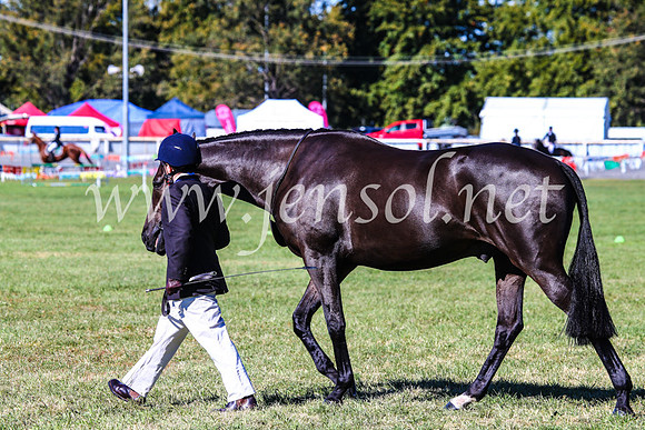 BathurstShow2017Fri_0197