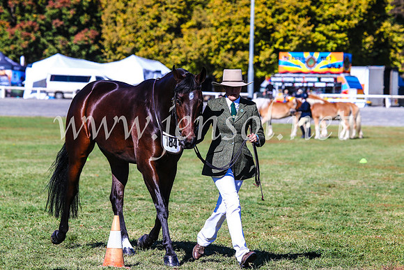 BathurstShow2017Fri_0238