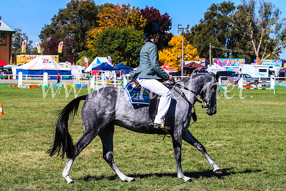 BathurstShow2017Fri_0750