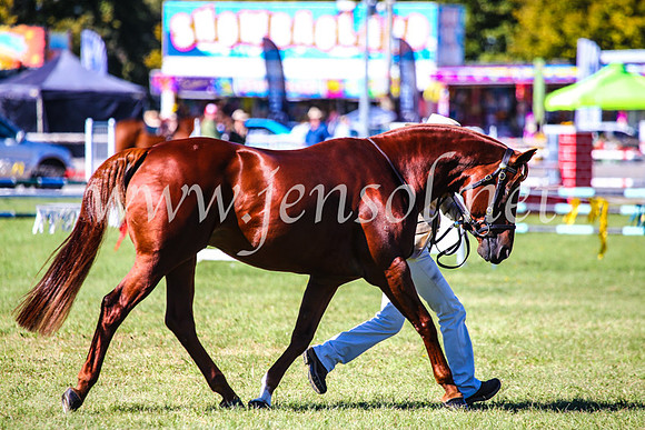 BathurstShow2017Fri_0304
