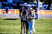 BathurstShow2017Fri_0011