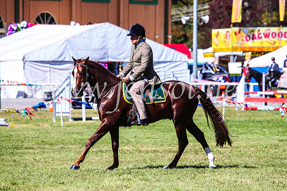 BathurstShow2017Fri_0686
