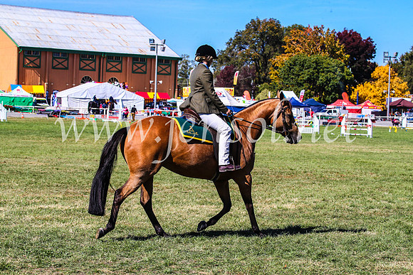 BathurstShow2017Fri_0728