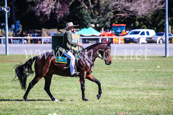 BathurstShow2017Fri_0806