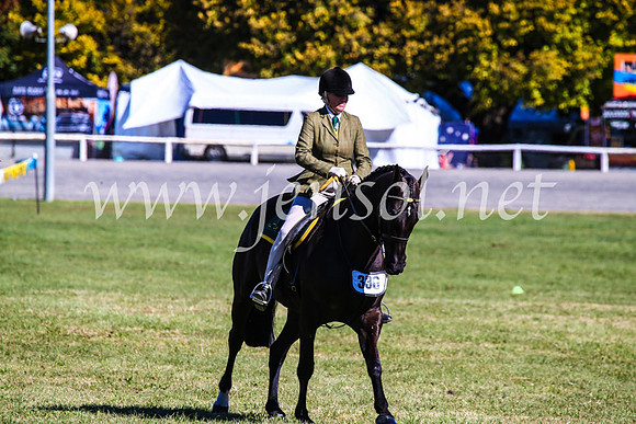 BathurstShow2017Fri_0879