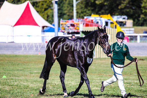 BathurstShow2017Fri_0095