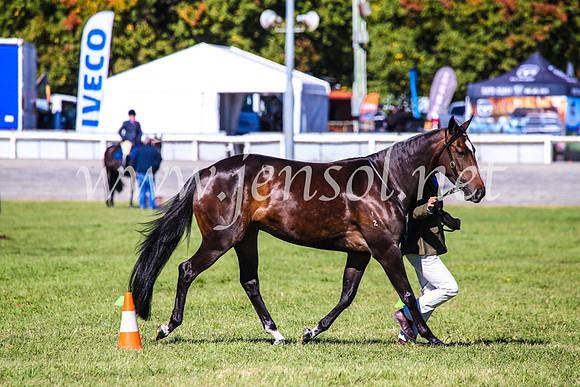 BathurstShow2017Fri_0289