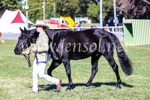 BathurstShow2017Fri_0105