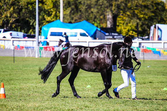 BathurstShow2017Fri_0187