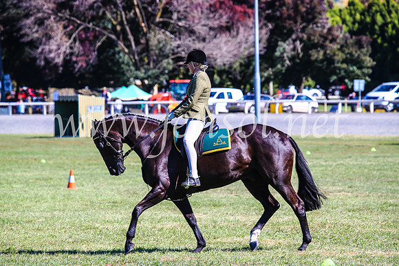 BathurstShow2017Fri_0863