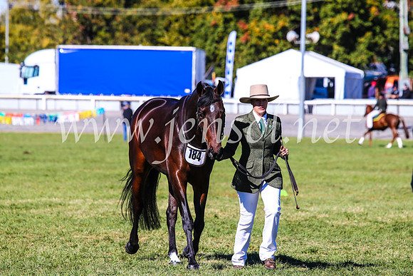 BathurstShow2017Fri_0225