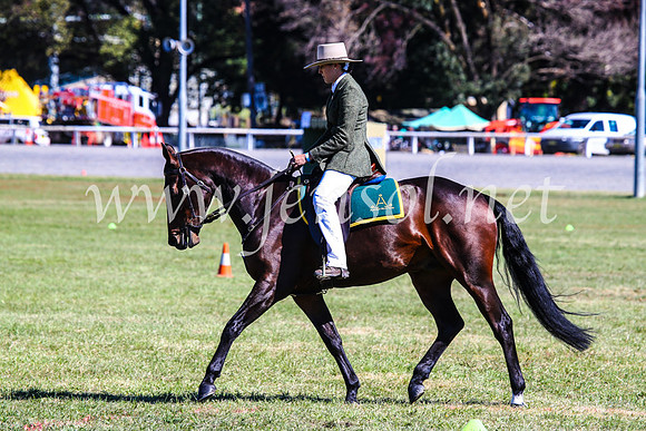 BathurstShow2017Fri_0992