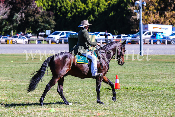 BathurstShow2017Fri_1012