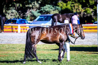 BathurstShow2017Fri_0049