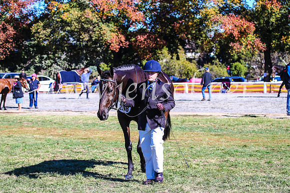BathurstShow2017Fri_0131