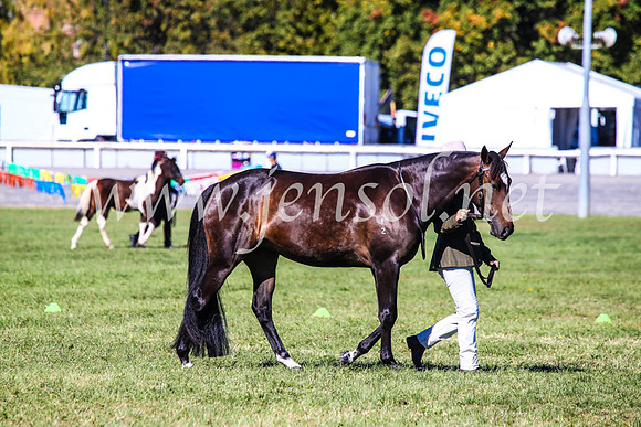 BathurstShow2017Fri_0266