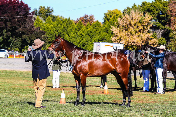 BathurstShow2017Fri_0155