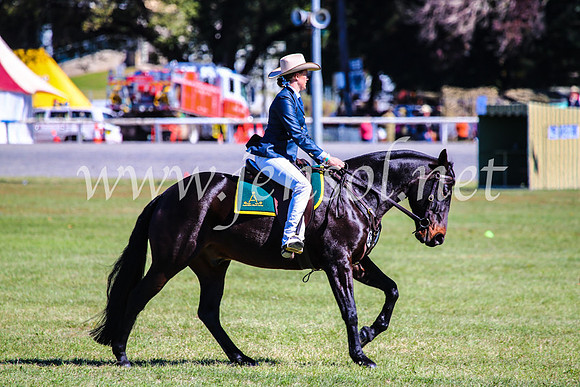 BathurstShow2017Fri_0823