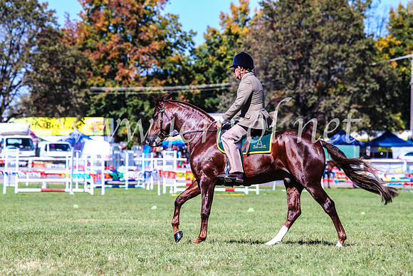 BathurstShow2017Fri_0515