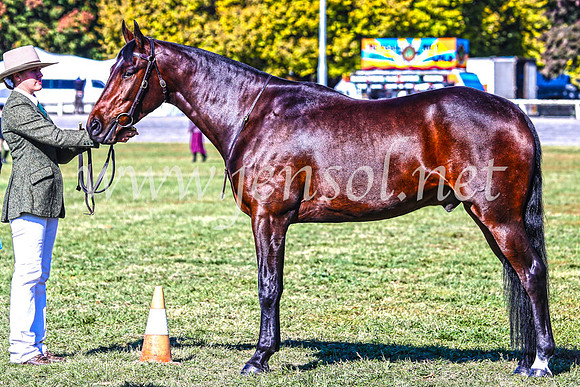 BathurstShow2017Fri_0212