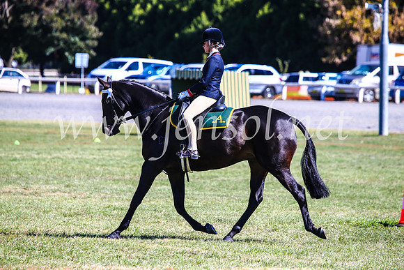 BathurstShow2017Fri_0923