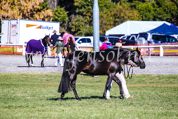BathurstShow2017Fri_0058