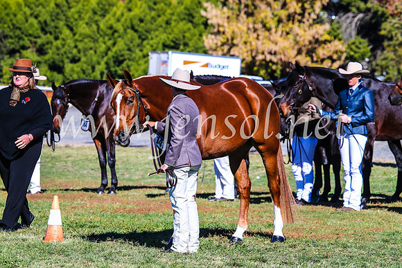 BathurstShow2017Fri_0137