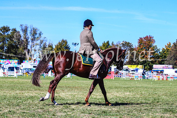 BathurstShow2017Fri_0494