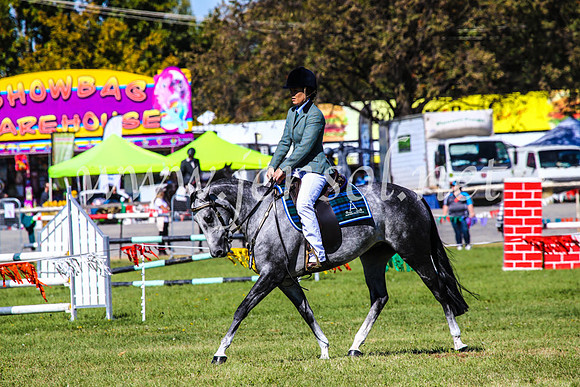 BathurstShow2017Fri_0643