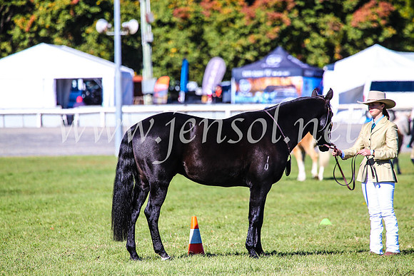 BathurstShow2017Fri_0108
