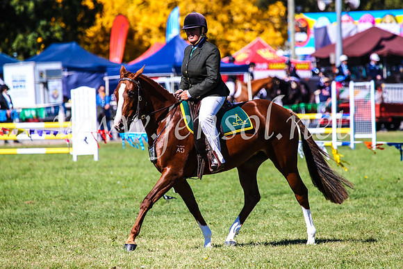 BathurstShow2017Fri_0654