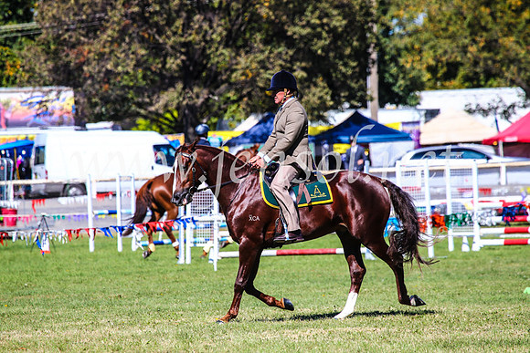 BathurstShow2017Fri_0631