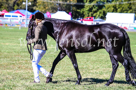 BathurstShow2017Fri_0182