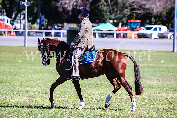 BathurstShow2017Fri_0944