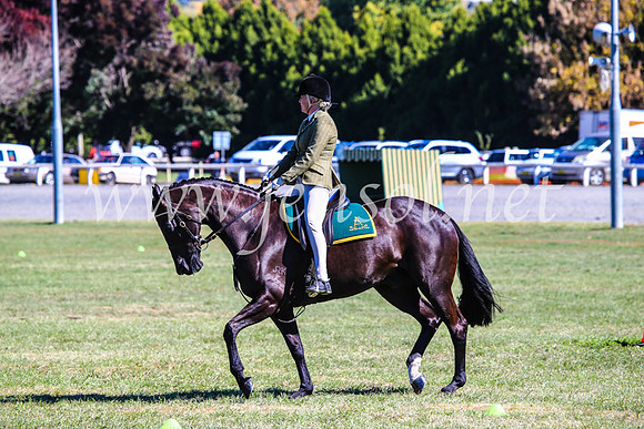 BathurstShow2017Fri_0871
