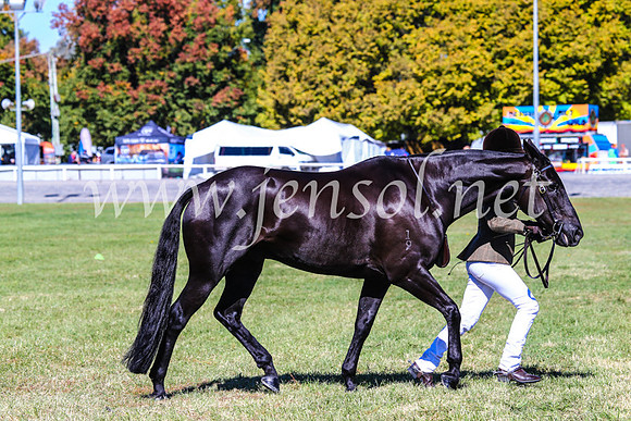 BathurstShow2017Fri_0375