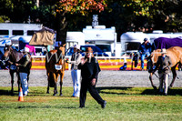 BathurstShow2017Fri_0004