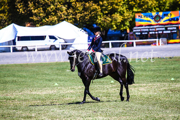 BathurstShow2017Fri_0932