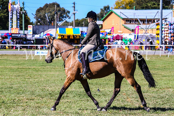BathurstShow2017Fri_0774
