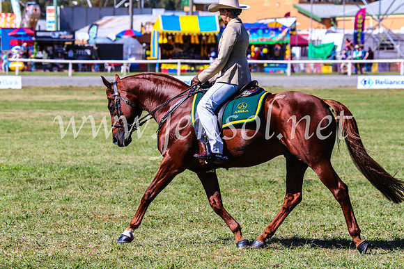 BathurstShow2017Fri_0706